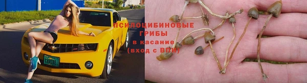 MESCALINE Липки