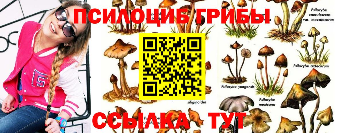 Северобайкальск  Псилоцибиновые грибы мицелий  Галлюциногенные грибы GOLDEN TEACHER  Вход с VPN 