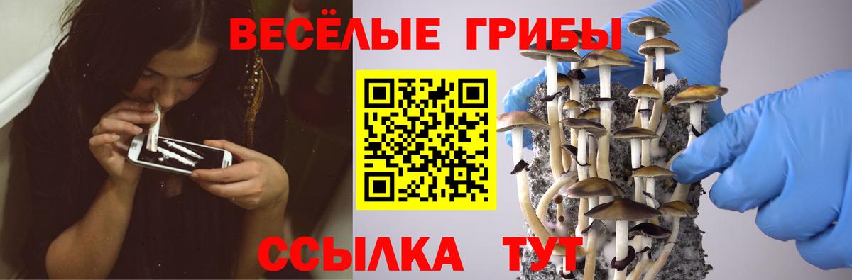 Галлюциногенные грибы Cubensis Северобайкальск