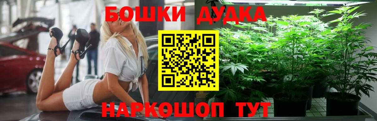 Канабис конопля  Вход с VPN  Северобайкальск  Шишки марихуана OG Kush  Марихуана план  Каннабис VHQ 